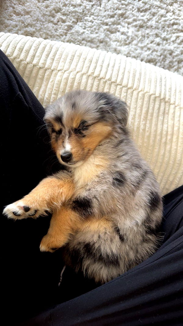 sadie.mckenna image ~ Altpins