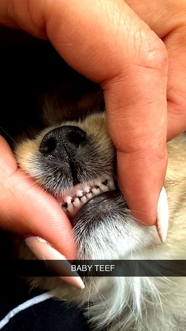 sadie.mckenna image ~ Altpins