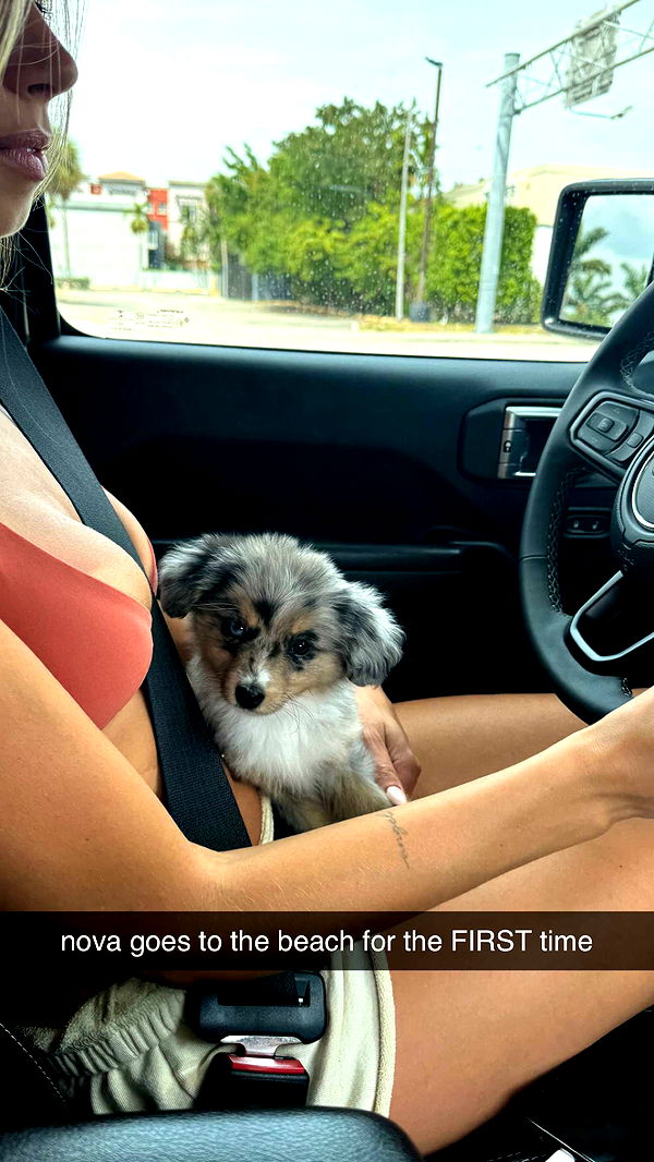 sadie.mckenna image ~ Altpins