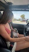 sadie.mckenna Altpins Profile Picture