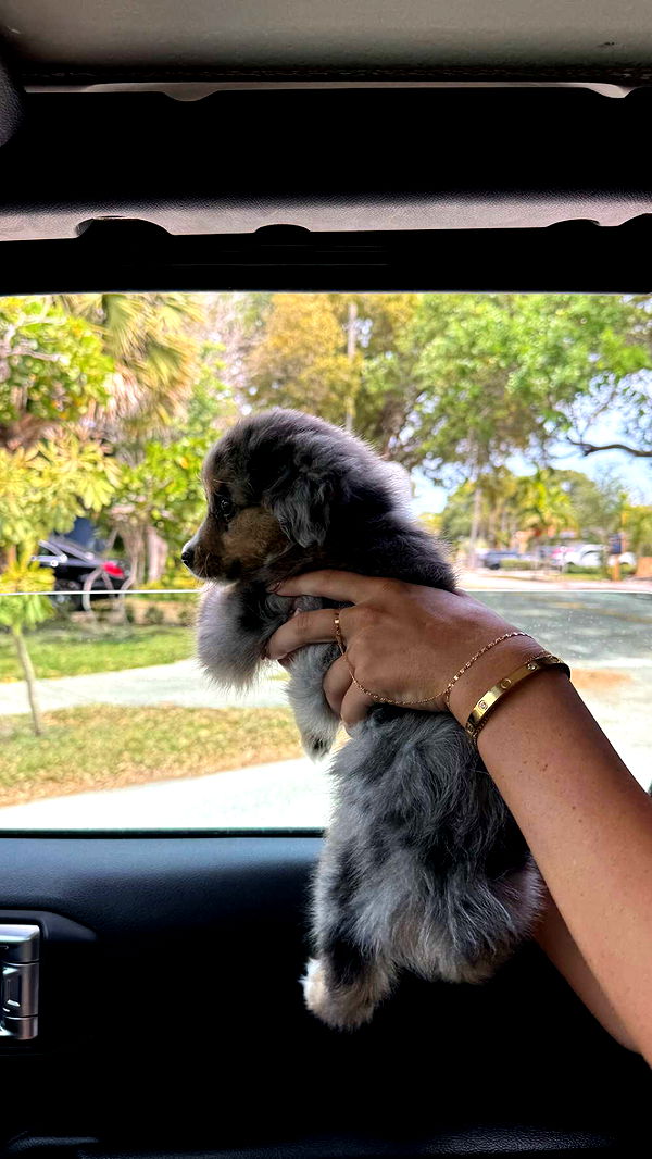 sadie.mckenna image ~ Altpins