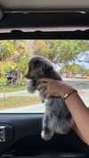 sadie.mckenna Altpins Profile Picture