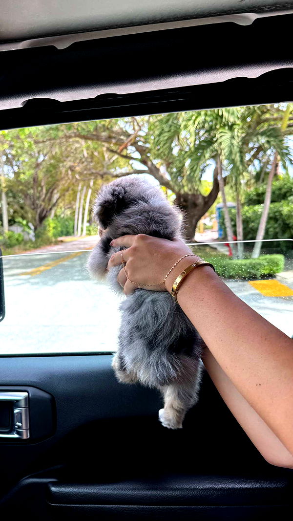 sadie.mckenna image ~ Altpins