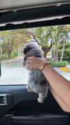sadie.mckenna Altpins Profile Picture
