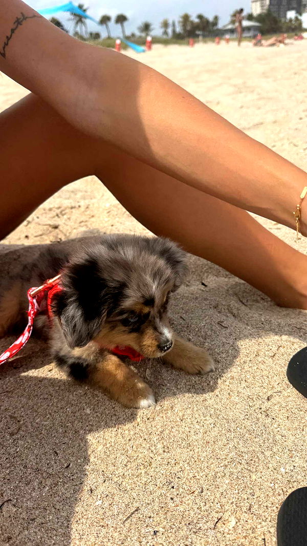 sadie.mckenna image ~ Altpins