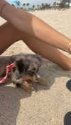 sadie.mckenna Altpins Profile Picture