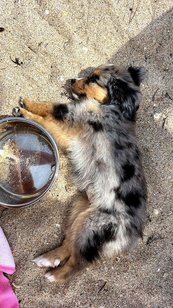 sadie.mckenna image ~ Altpins