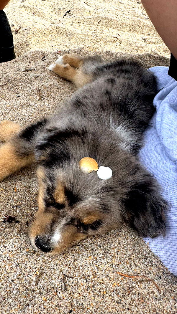 sadie.mckenna image ~ Altpins