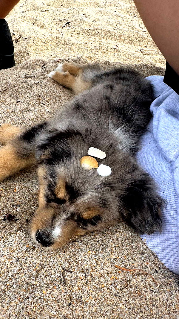 sadie.mckenna image ~ Altpins