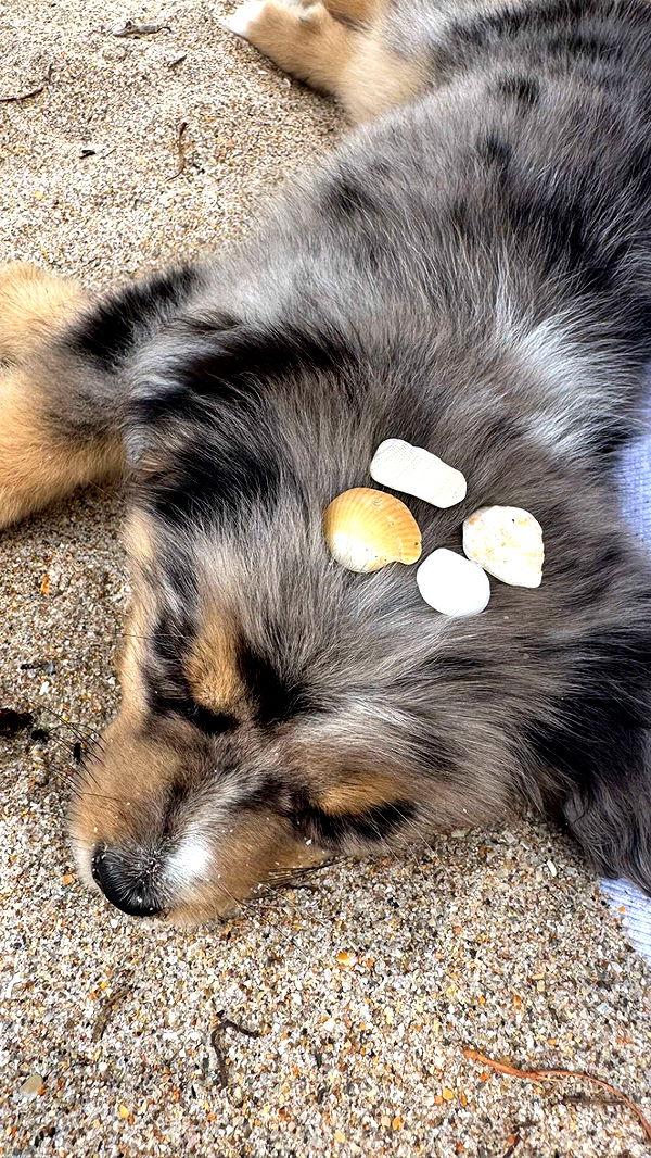 sadie.mckenna image ~ Altpins