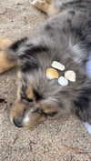 sadie.mckenna Altpins Profile Picture