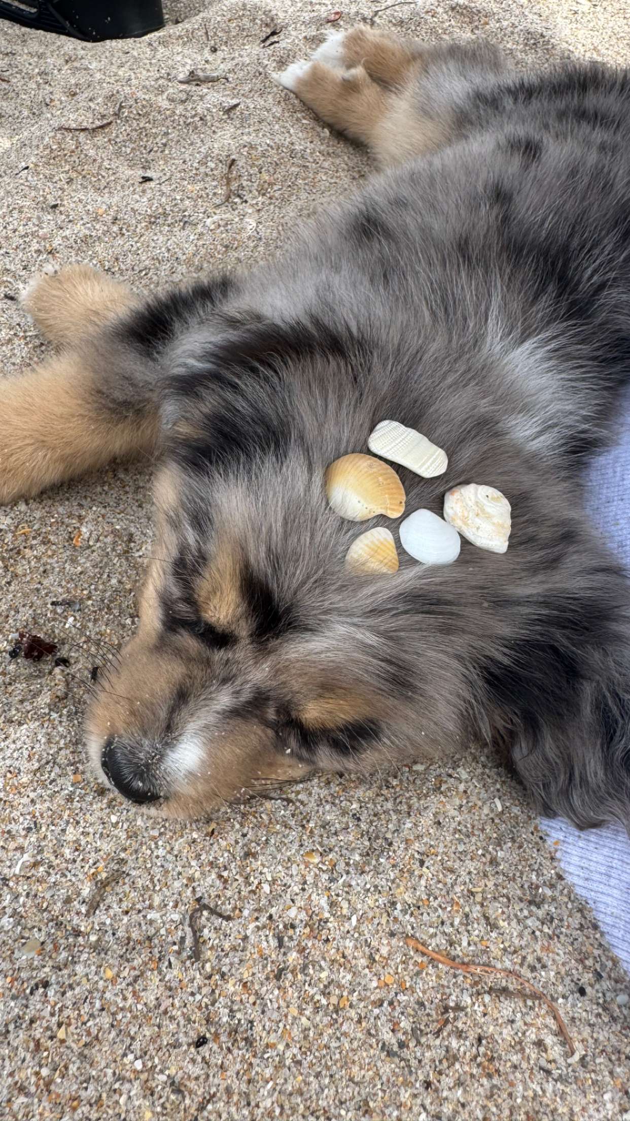 sadie.mckenna snapchat image archive image