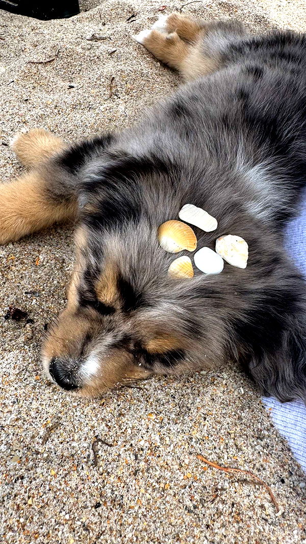 sadie.mckenna image ~ Altpins