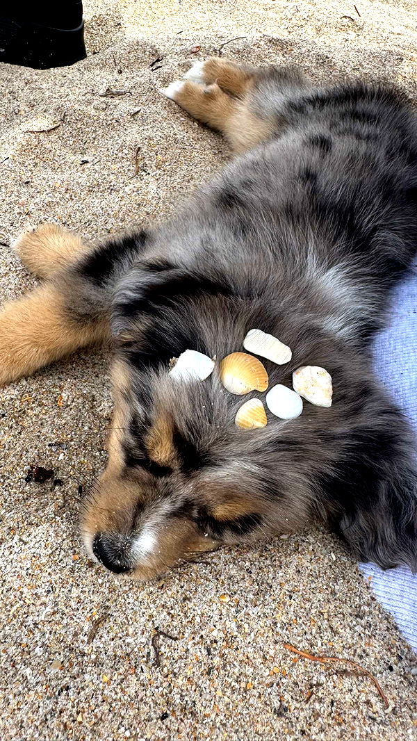 sadie.mckenna image ~ Altpins