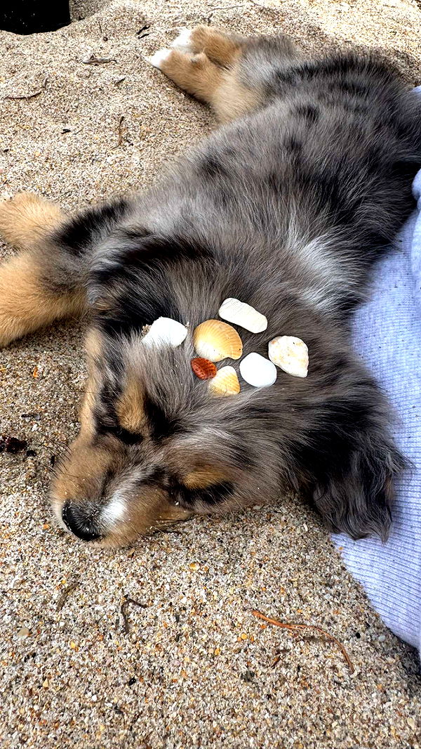 sadie.mckenna image ~ Altpins