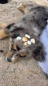 sadie.mckenna Altpins Profile Picture