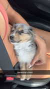 sadie.mckenna Altpins Profile Picture