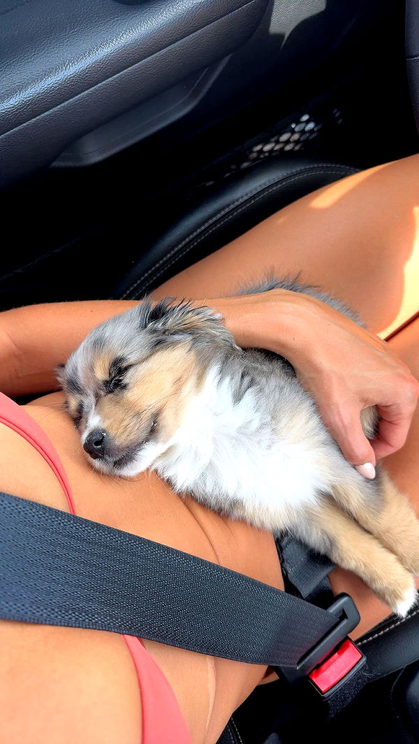 sadie.mckenna image ~ Altpins