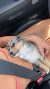 sadie.mckenna Altpins Profile Picture