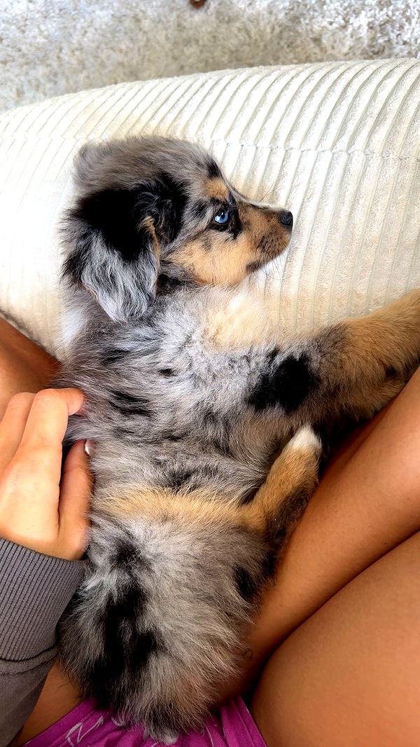 sadie.mckenna image ~ Altpins