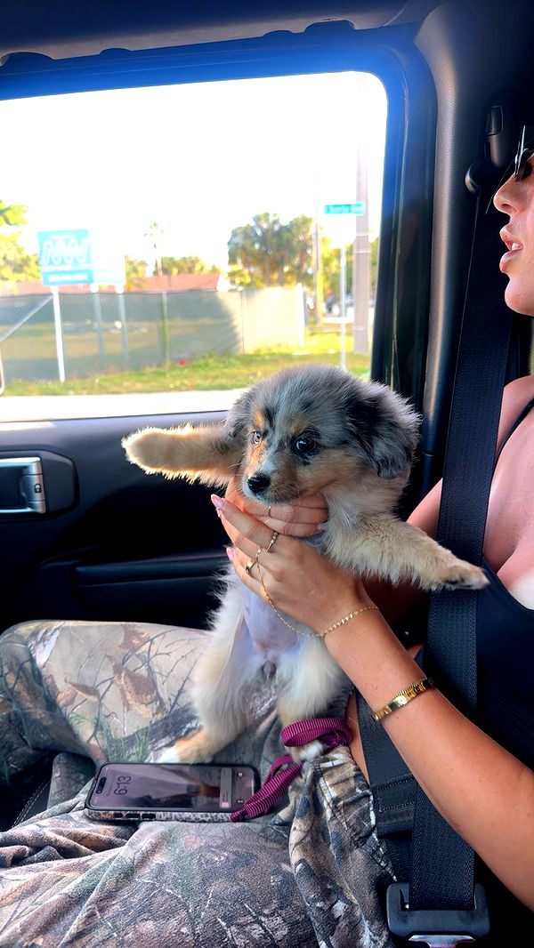 sadie.mckenna image ~ Altpins