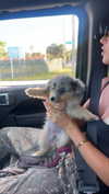 sadie.mckenna Altpins Profile Picture
