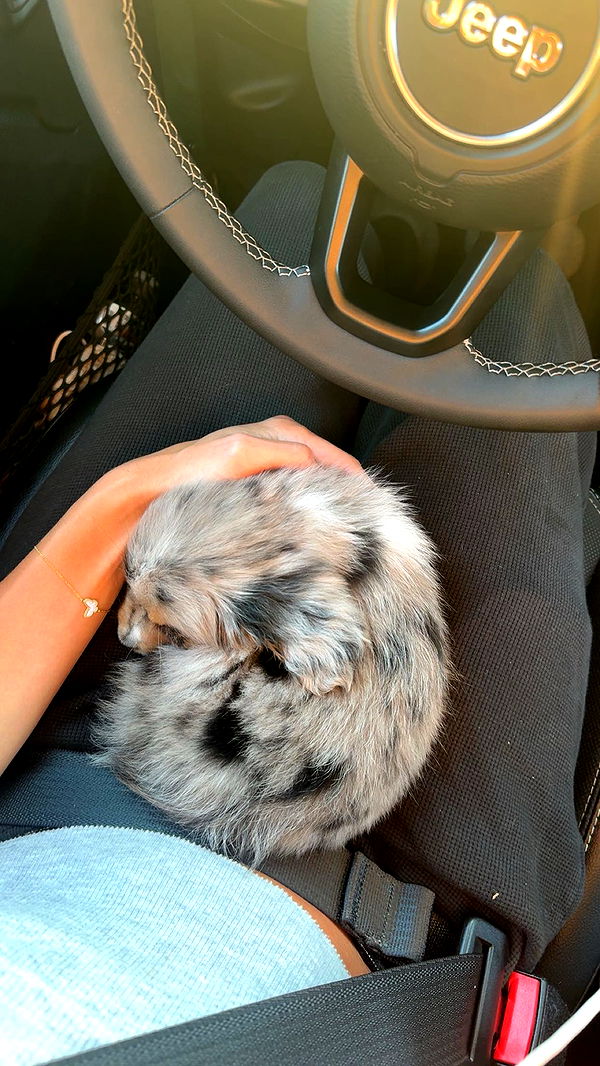 sadie.mckenna image ~ Altpins