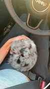 sadie.mckenna Altpins Profile Picture