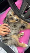 sadie.mckenna Altpins Profile Picture