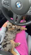 sadie.mckenna Altpins Profile Picture