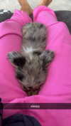 sadie.mckenna Altpins Profile Picture