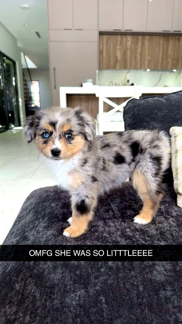 sadie.mckenna snapchat image archive image