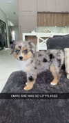 sadie.mckenna Altpins Profile Picture