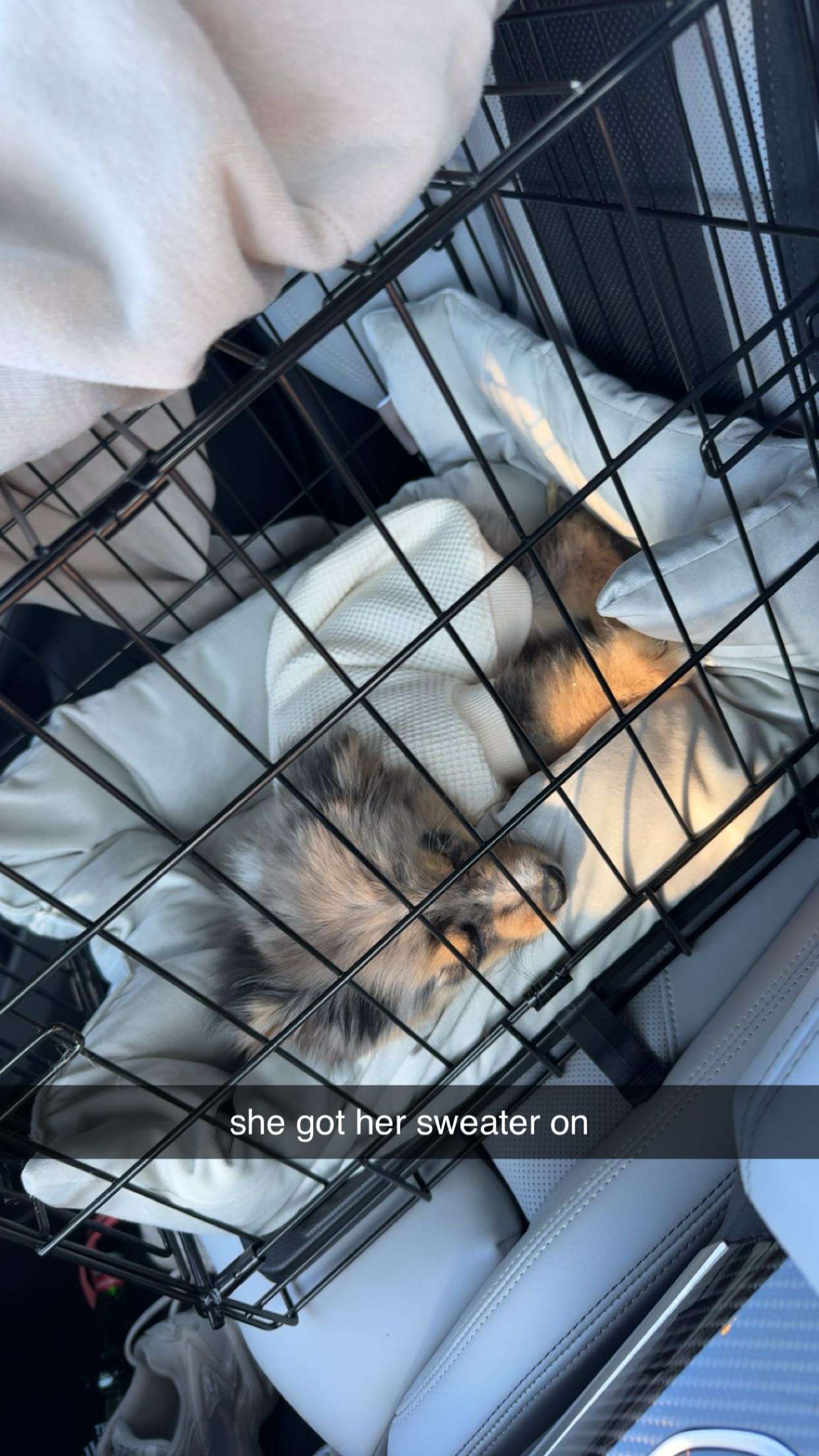 sadie.mckenna snapchat image archive image