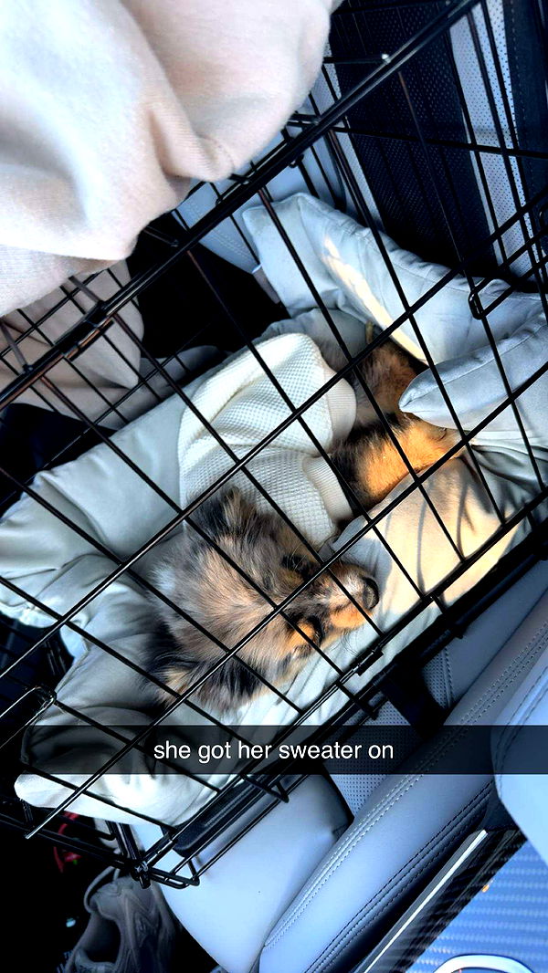 sadie.mckenna image ~ Altpins