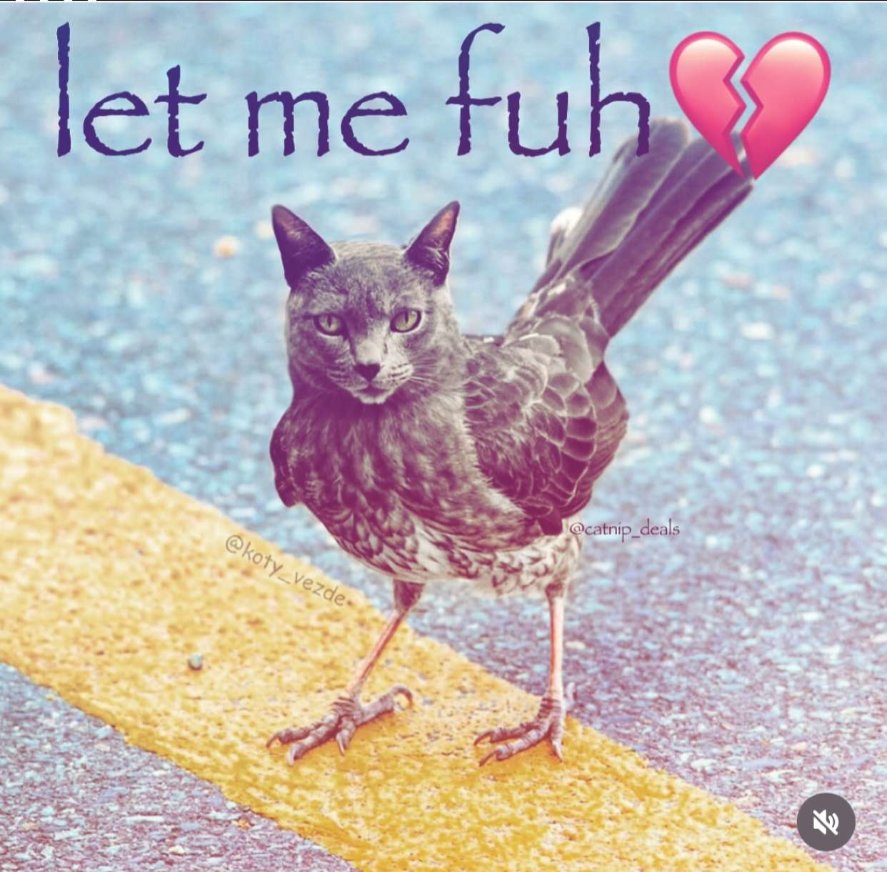 sadie.mckenna snapchat image archive image