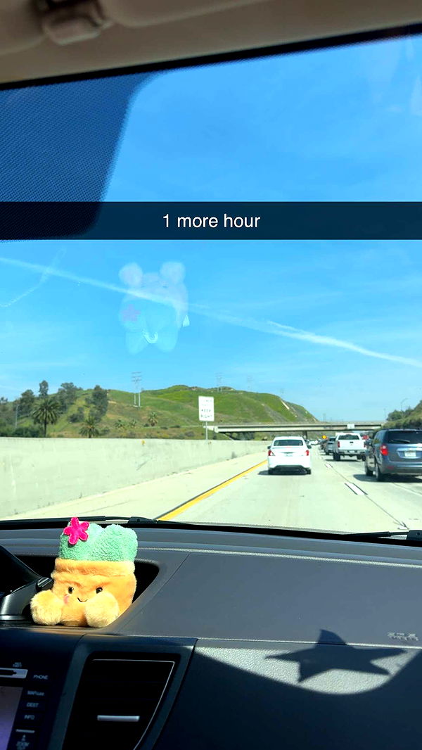 sadie.mckenna image ~ Altpins