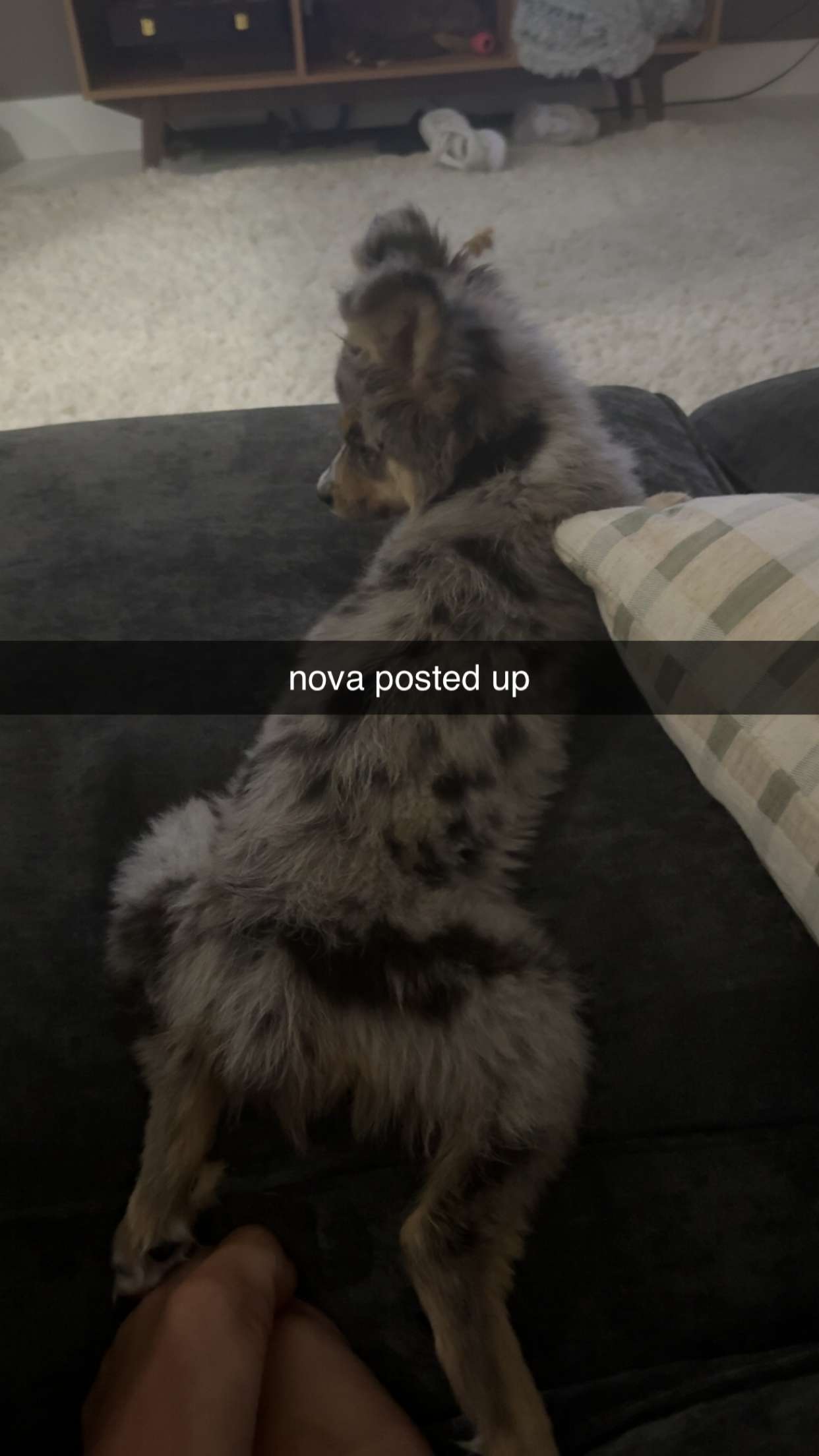 sadie.mckenna snapchat image archive image