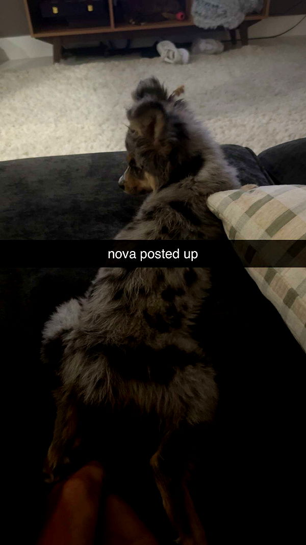 sadie.mckenna image ~ Altpins