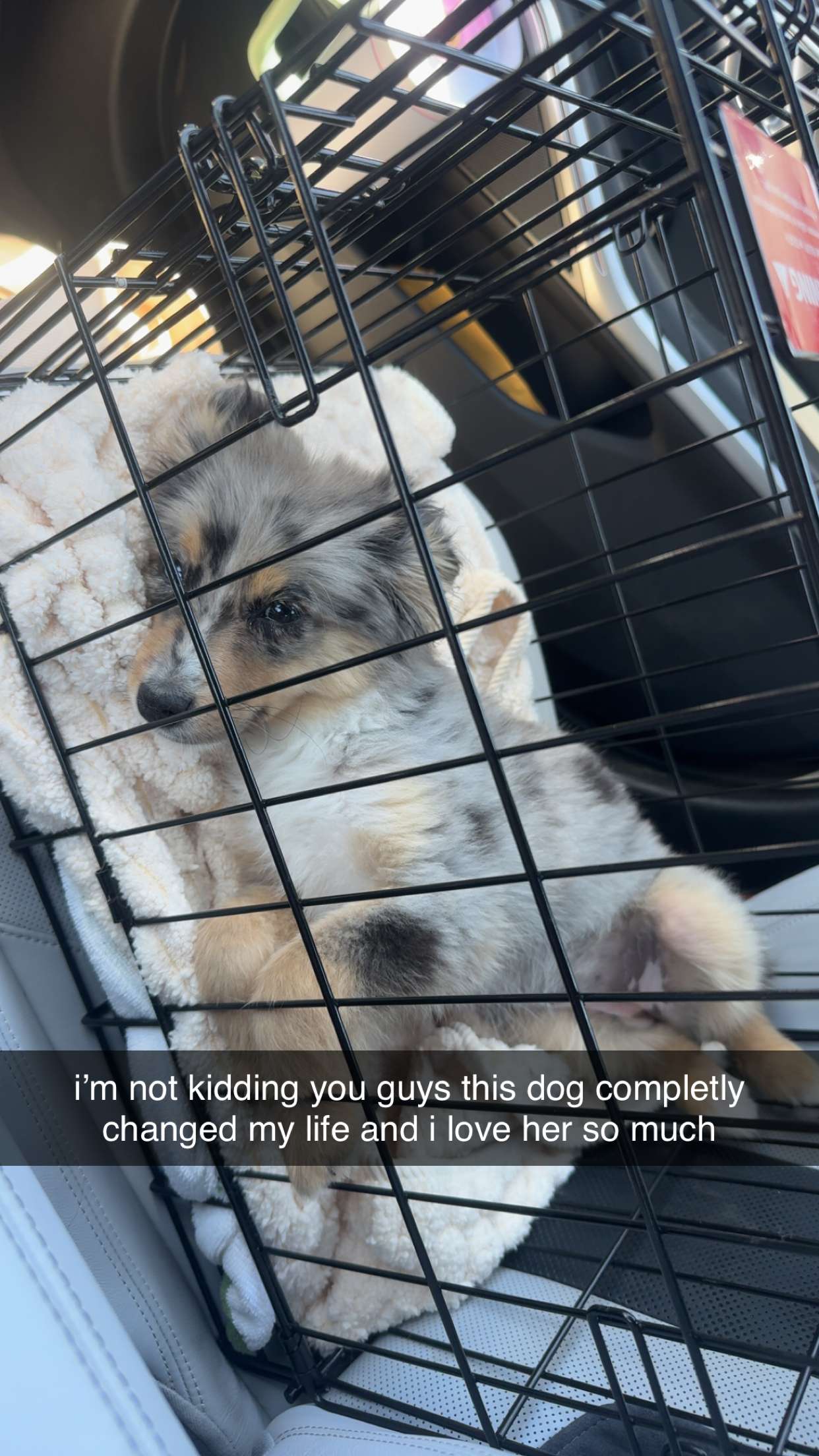 sadie.mckenna snapchat image archive image