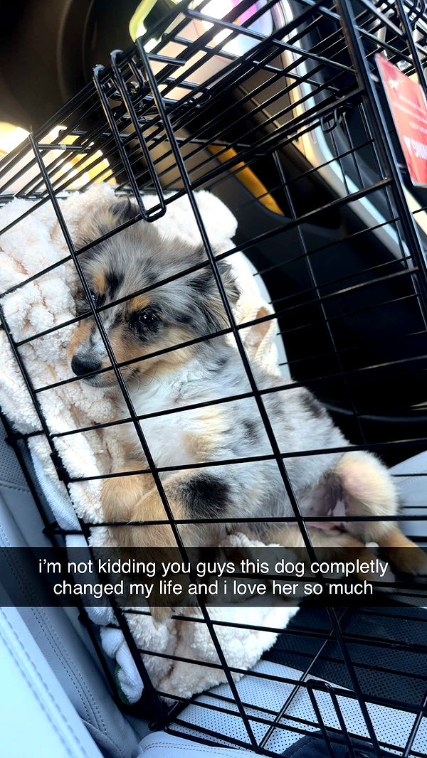 sadie.mckenna image ~ Altpins