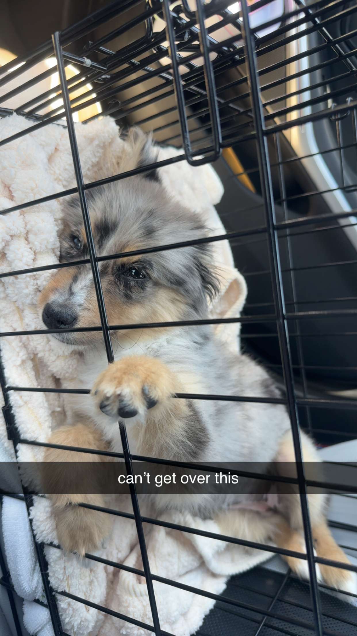 sadie.mckenna snapchat image archive image