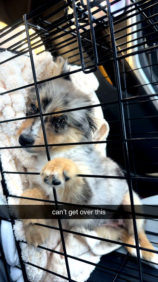 sadie.mckenna image ~ Altpins