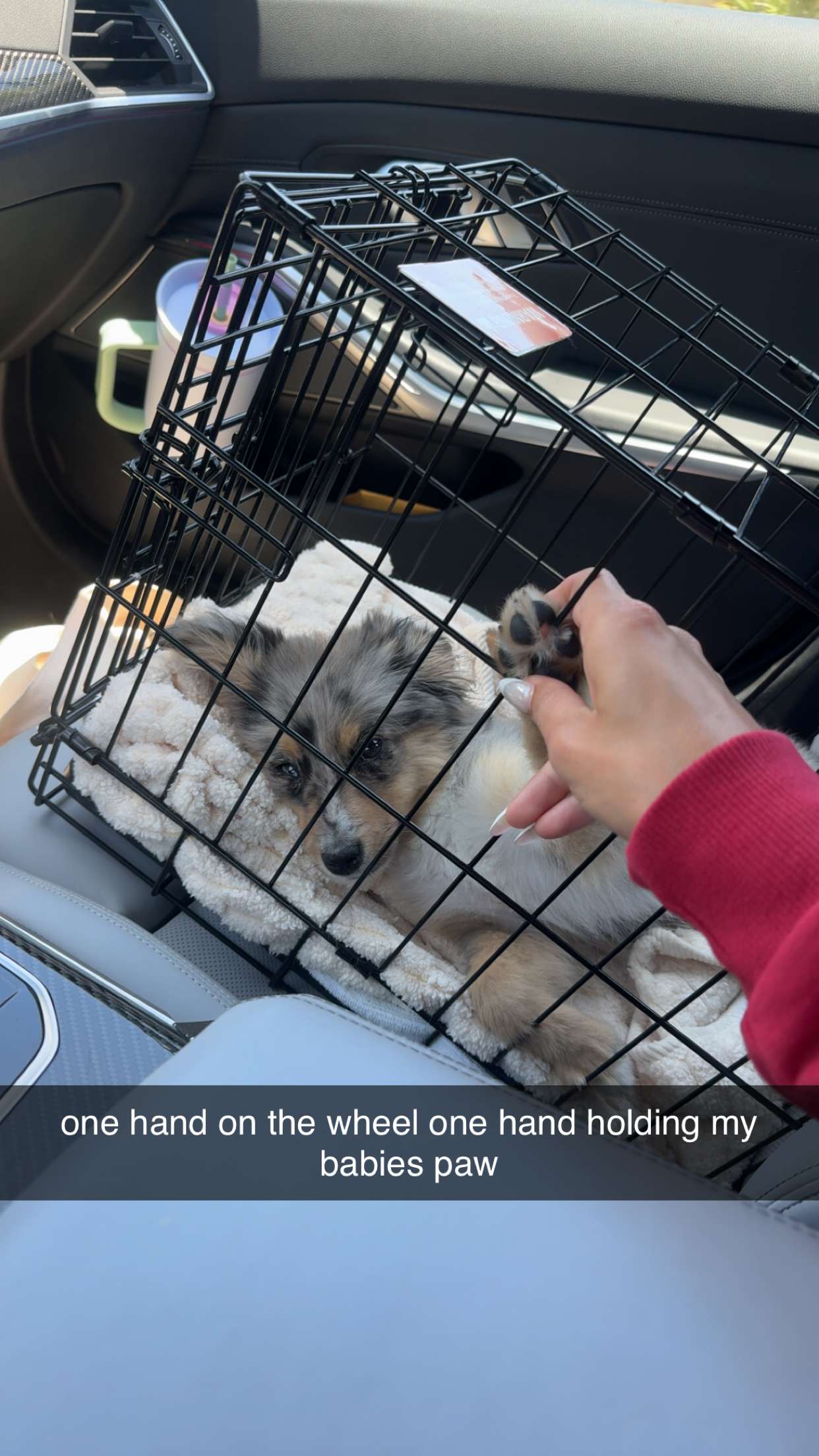 sadie.mckenna snapchat image archive image