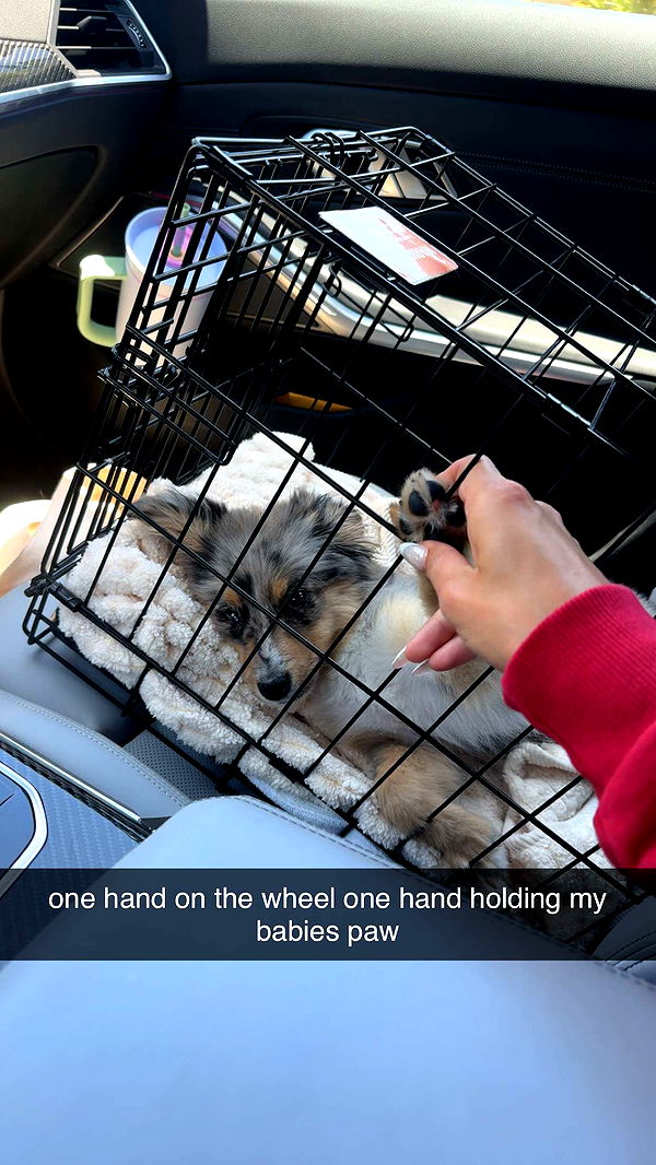 sadie.mckenna image ~ Altpins