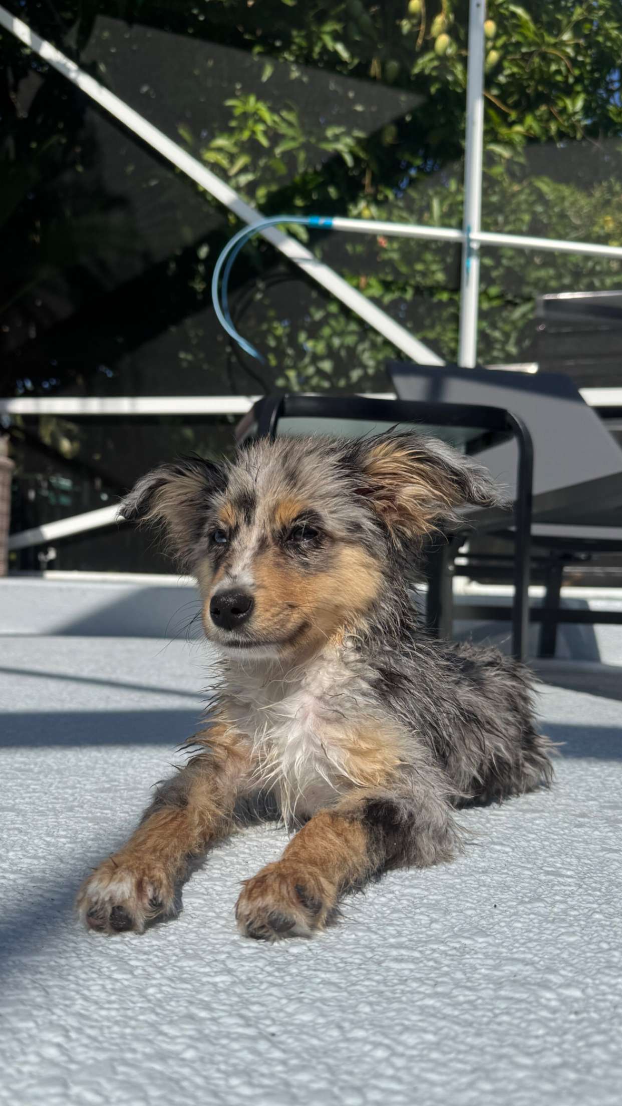 sadie.mckenna snapchat image archive image