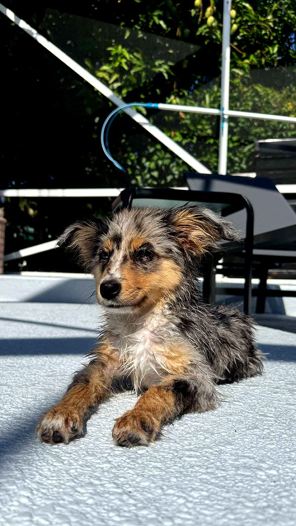 sadie.mckenna image ~ Altpins