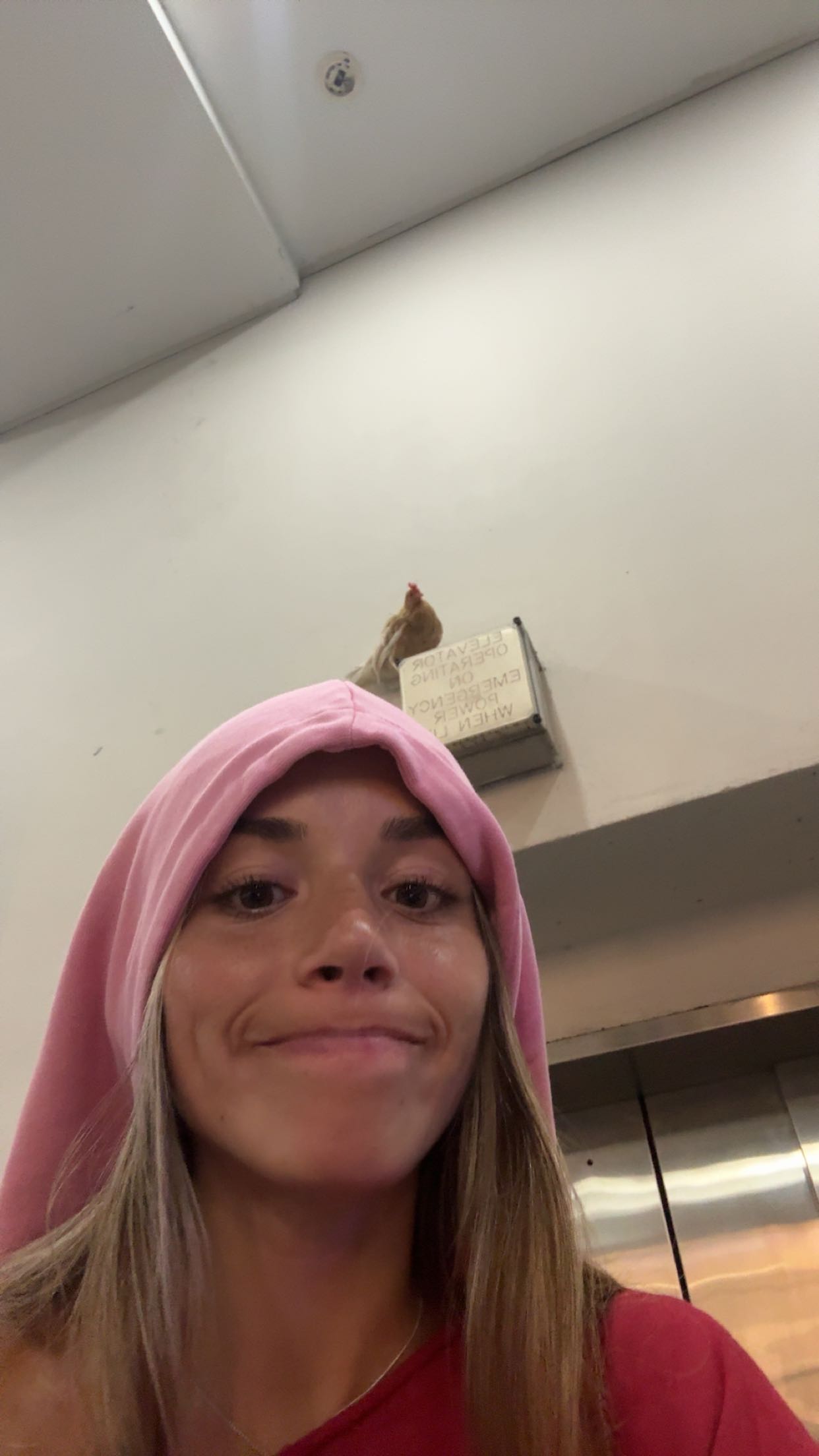 sadie.mckenna snapchat image archive image