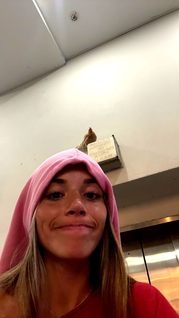 sadie.mckenna image ~ Altpins