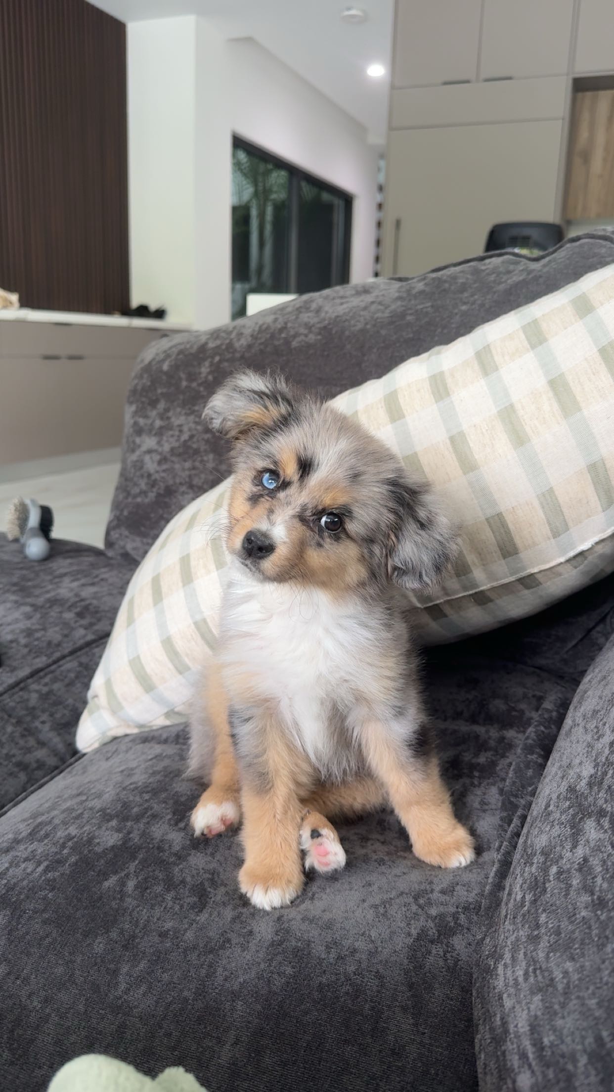 sadie.mckenna snapchat image archive image